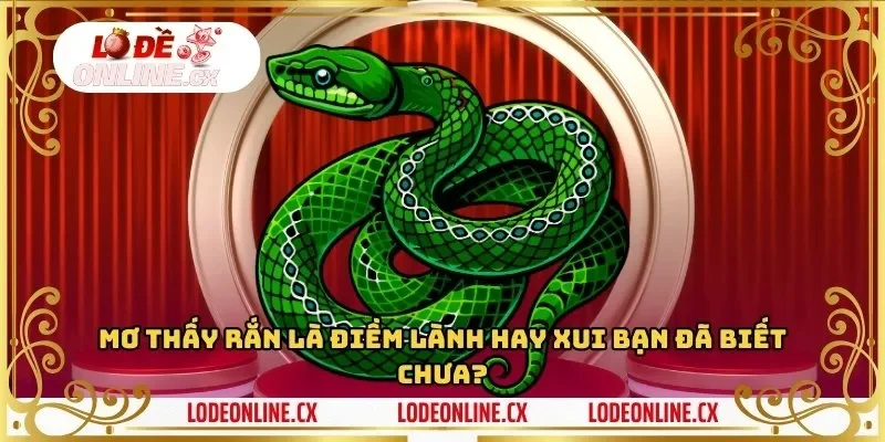 Mơ thấy rắn là điềm lành hay xui bạn đã biết chưa?